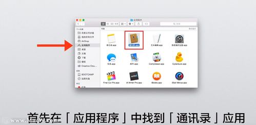 如何在Mac电脑上分享通讯录中的联系人信息，并了解计算机及通讯设备租赁服务